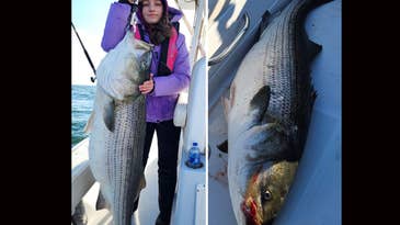 Thirteen-Year-Old Angler’s Massive Striped Bass is a New ‘Junior World Record’