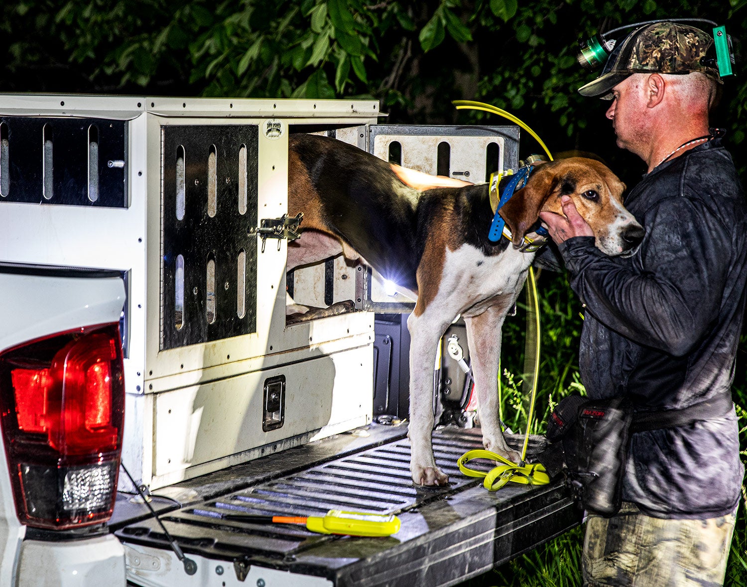 hunter brings coonhound out of truck crate