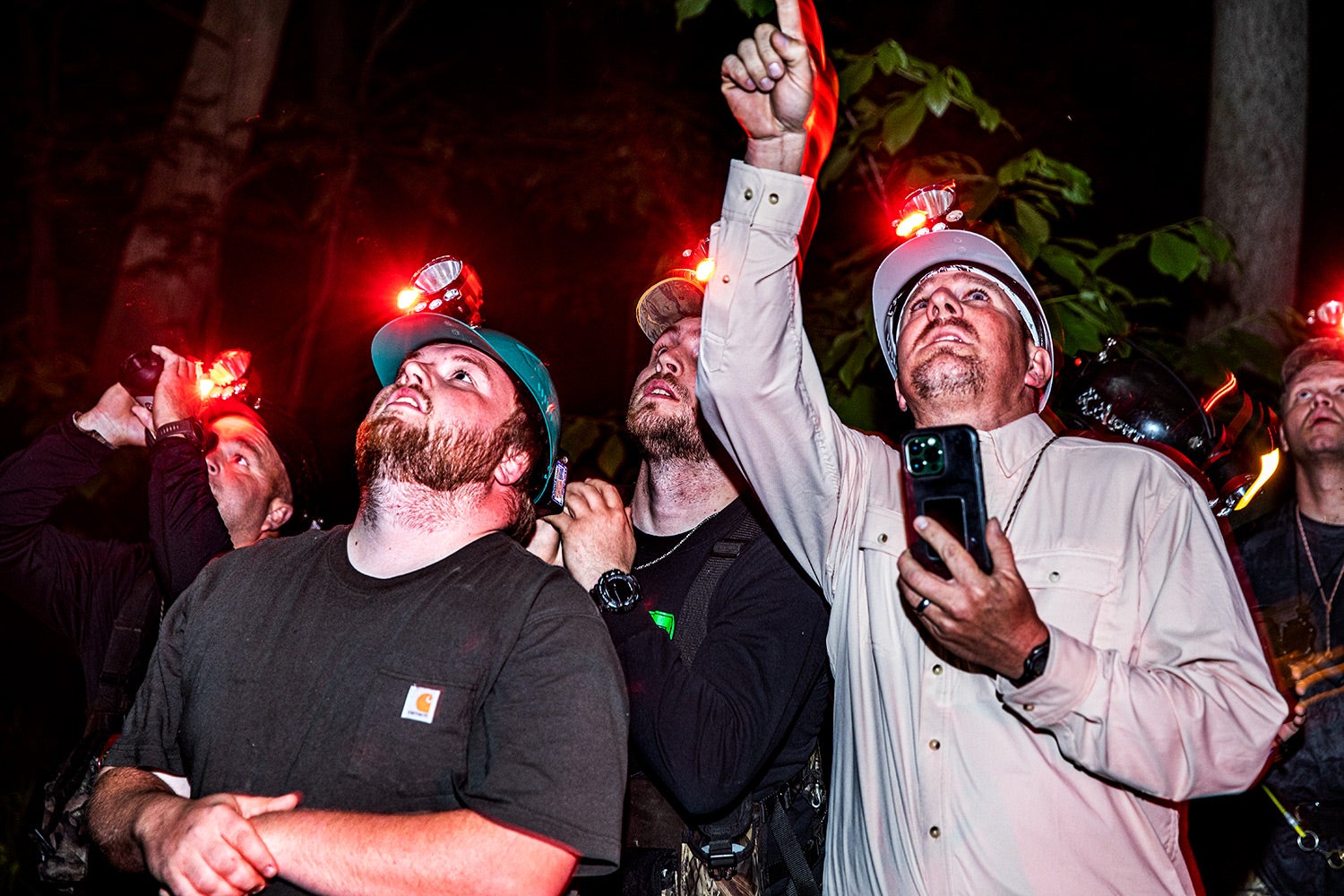 men with headlamps peer and point up into tree in woods at night