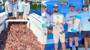 Spearfishermen Smash Tournament Record, Remove Over 600 Lionfish in 2 Days