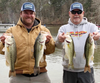 photo showing three largemouth bass on the left and one spotted bass on the right