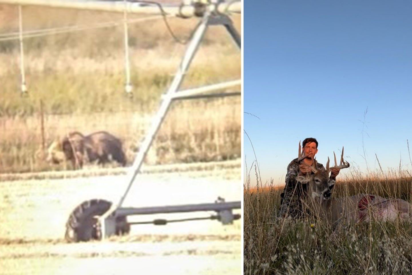 Another hunter who was watching Stevens said the grizzly bear made a beeline for his buck the moment he shot it. 
