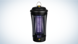  BLACK+DECKER Bug Zapper Electric Lantern with Insect Tray,  Cleaning Brush, Light Bulb & Waterproof Design for Indoor & Outdoor Flies,  Gnats & Mosquitoes Up to 625 Square Feet- 2 Pack 