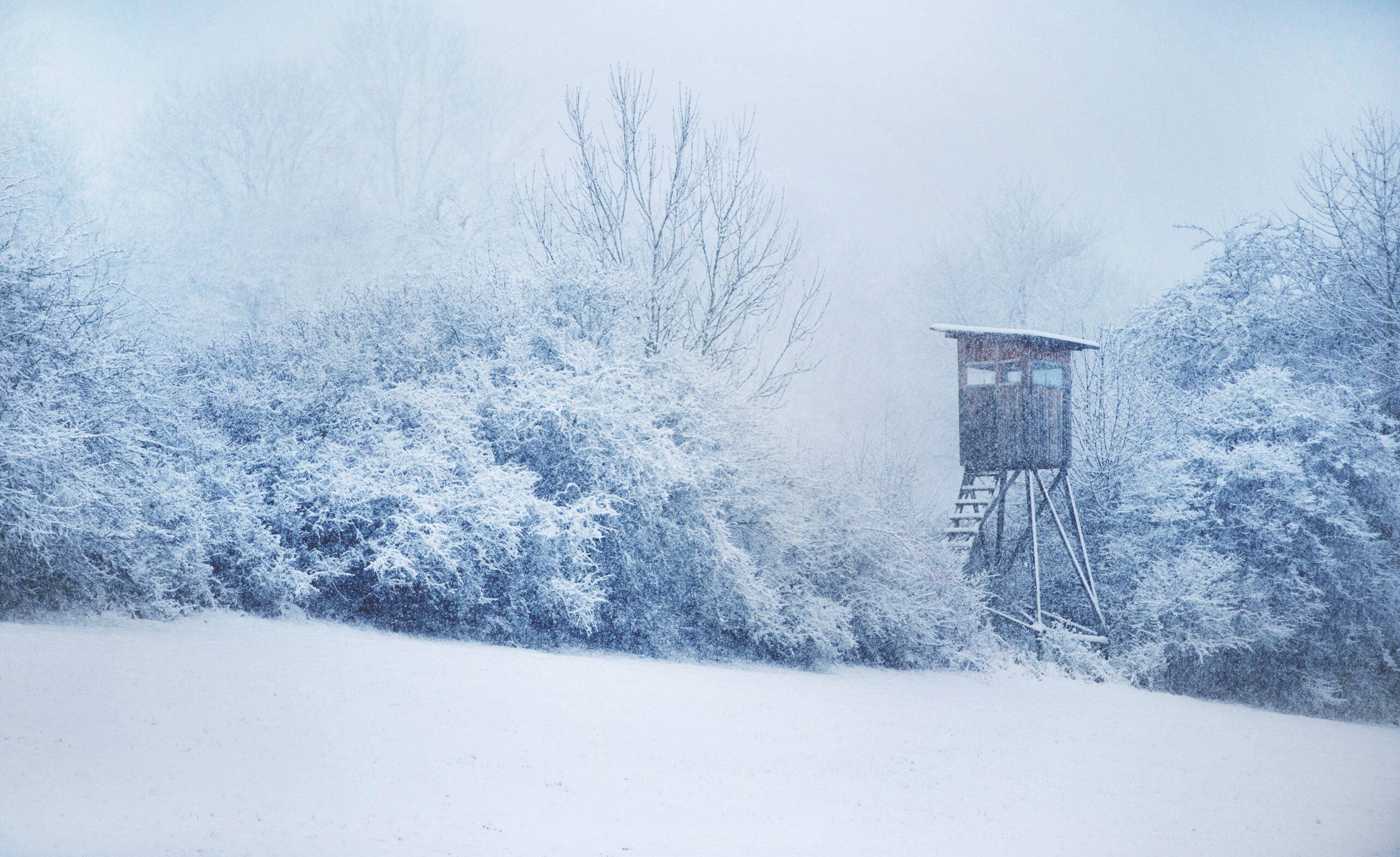 A photo of a hunting tree stand in winter weather.