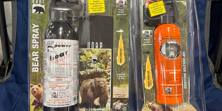 What Is Bear Spray?