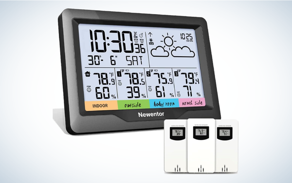 Best Home Weather Stations: Newentor Weather Station