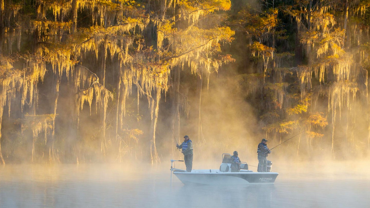 Best Bass Fishing Lakes in Texas