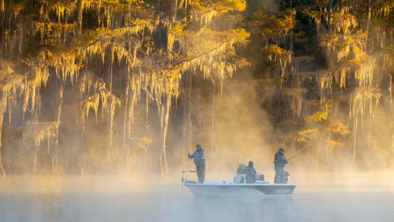 Best Bass Fishing Lakes in Texas