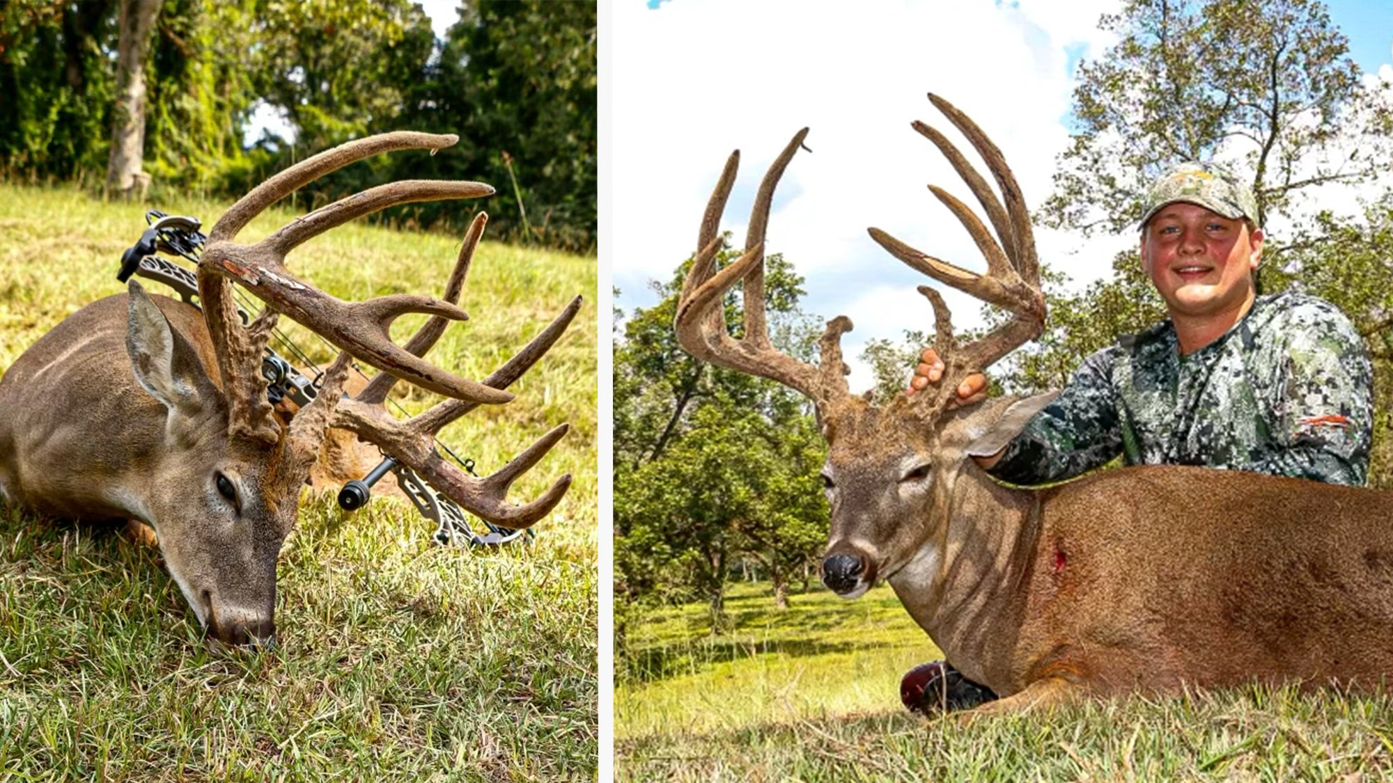 photo of a hunter with a big velvet whitetail buck