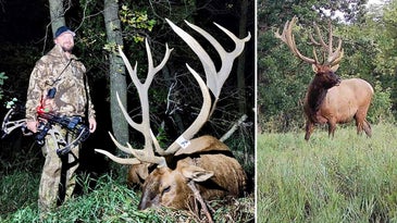Bowhunter Takes Massive North Dakota Elk with Once-In-A-Lifetime Tag