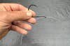 The first step in threading fishing line through a fishing hook to snell a hook