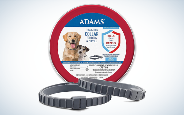 Best Tick Collars for Dogs: Adams Flea and Tick Collar