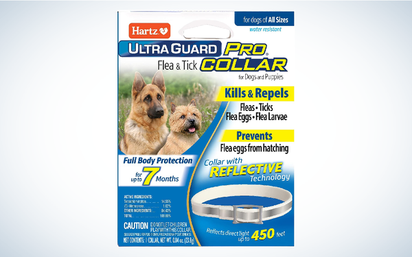 Best Tick Collars for Dogs: Hartz UltraGuard Pro Reflective Flea & Tick Collar