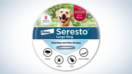 Best Tick Collars for Dogs: Seresto Flea & Tick Treatment & Prevention Collar