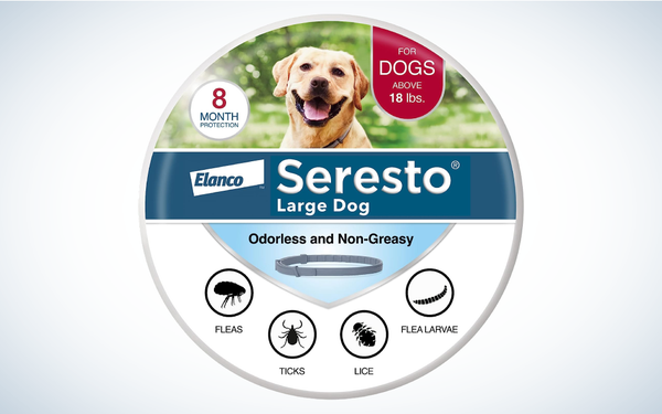 Best Tick Collars for Dogs: Seresto Flea & Tick Treatment & Prevention Collar