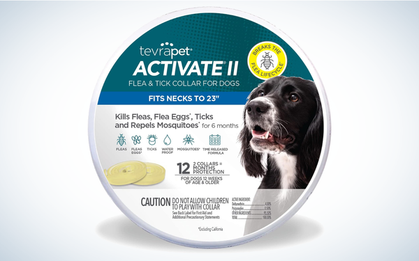 Best Tick Collars for Dogs: TevraPet Activate II Flea and Tick Collar