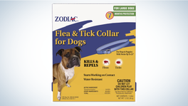 Best Tick Collars for Dogs: Zodiac Flea and Tick Collar