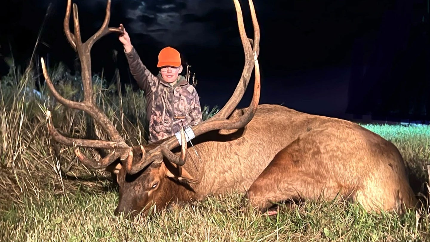 13-Year-Old Minnesota Hunter Bags Giant Bull Elk with Once-in-A-Lifetime Tag