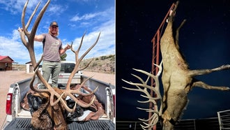 Hunter’s Giant 8×8 Bull Elk Could Break New Mexico State Record