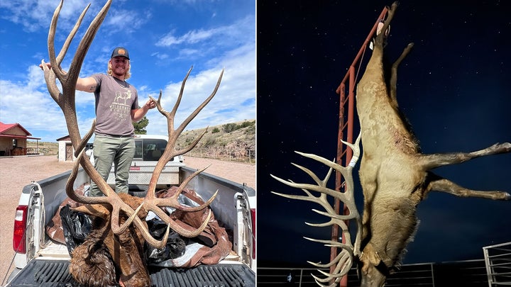 New Mexico Hunter’s Giant 8×8 Bull Elk Could Set a New State Record