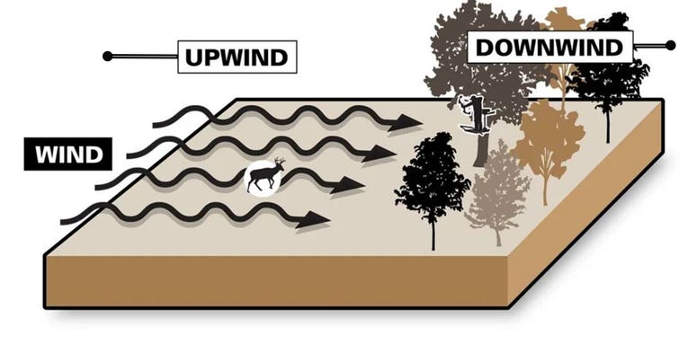 Downwind vs Upwind: The Ultimate Guide to Playing the Wind