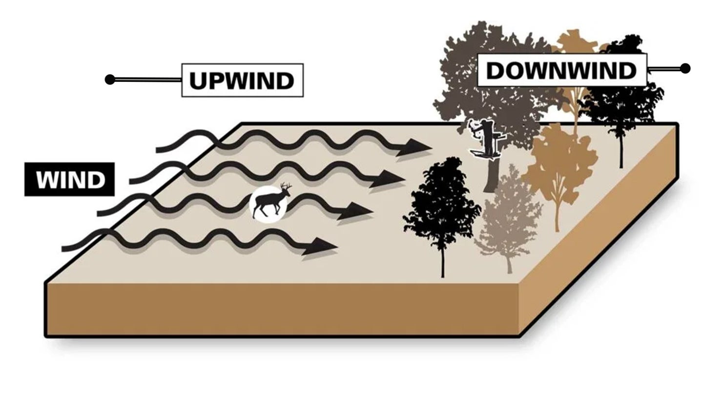 an illustration showing the difference between downwind vs upwind