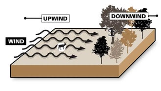 Downwind vs Upwind: The Ultimate Guide to Playing the Wind