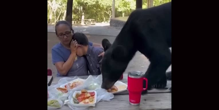 Watch: Mother Protects Son as Bear Jumps on Picnic Table and Eats Family’s Lunch