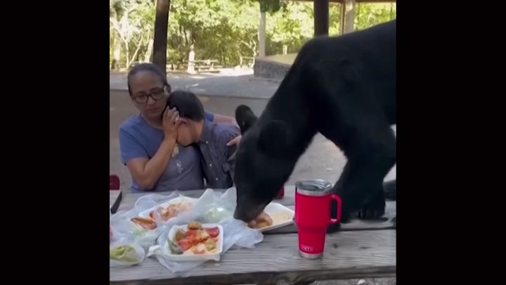 Watch: Mother Protects Son as Bear Jumps on Picnic Table and Eats Family’s Lunch