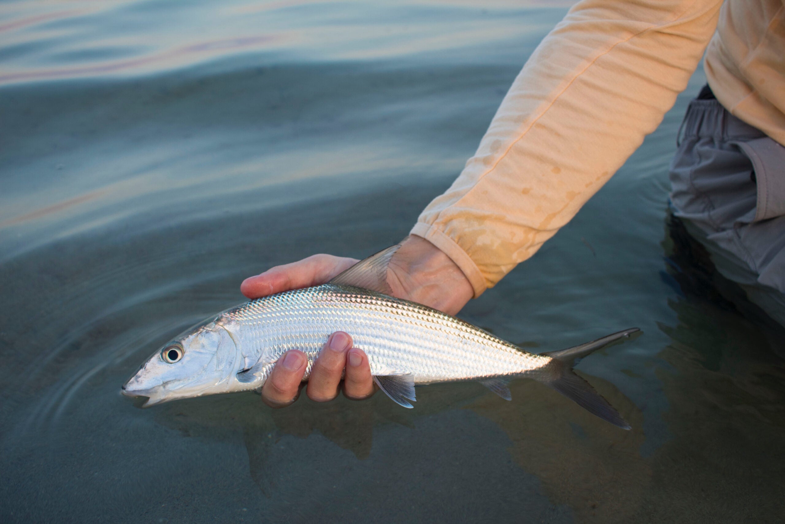 Saltwater wading boots are helpful when chasing species like bonefish on clearwater flats.