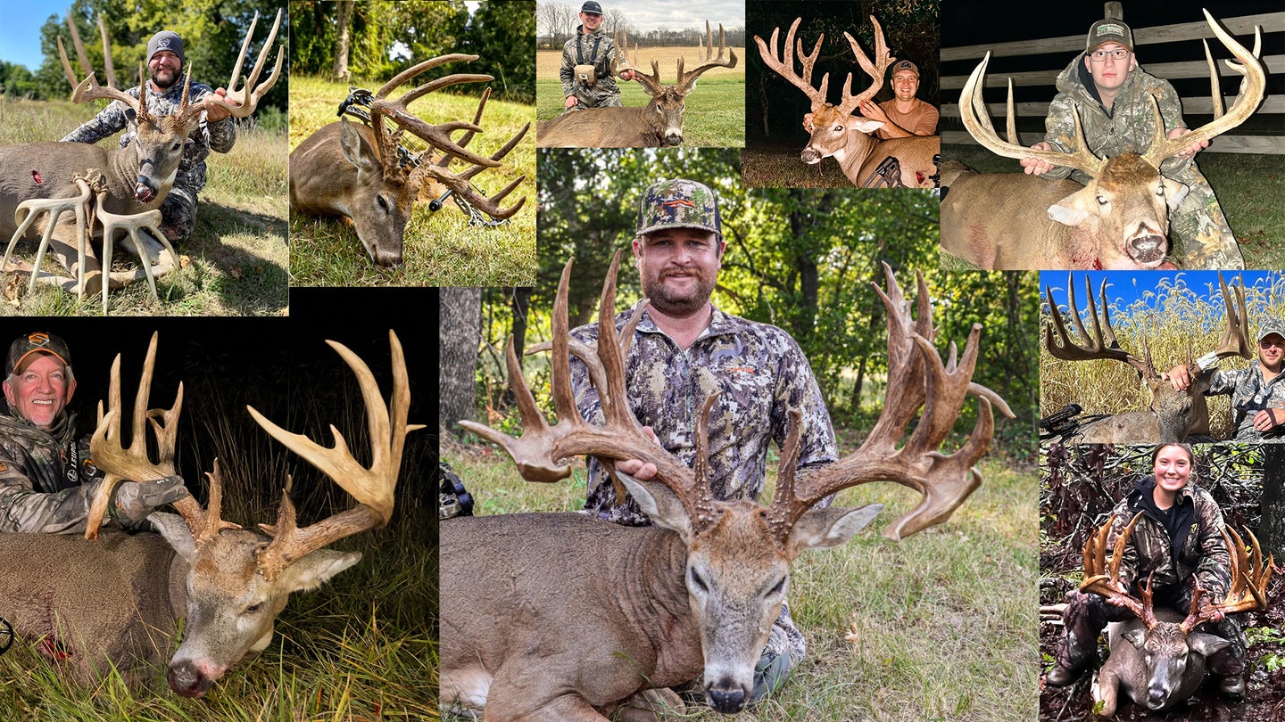 collage of the biggest whitetail buck taken in 2023