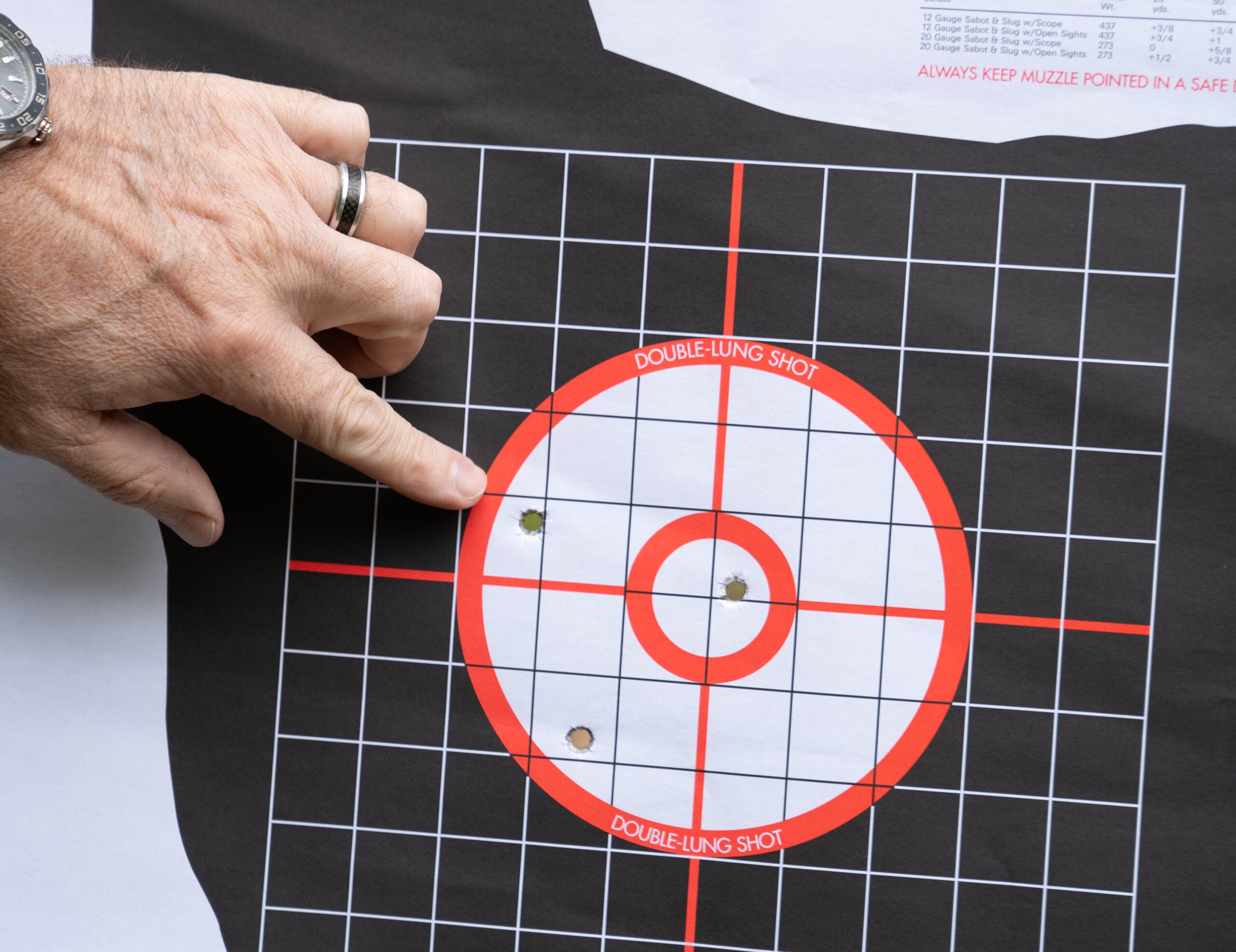 a photo showing accurate but not precise shots on the vital-area of a deer target