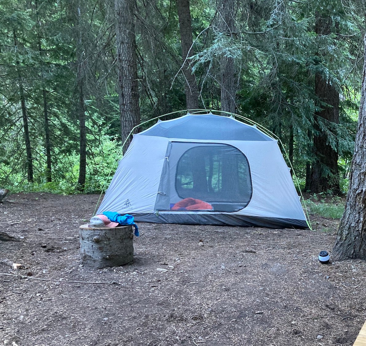 Woods Lookout 6-Person tent at campsite