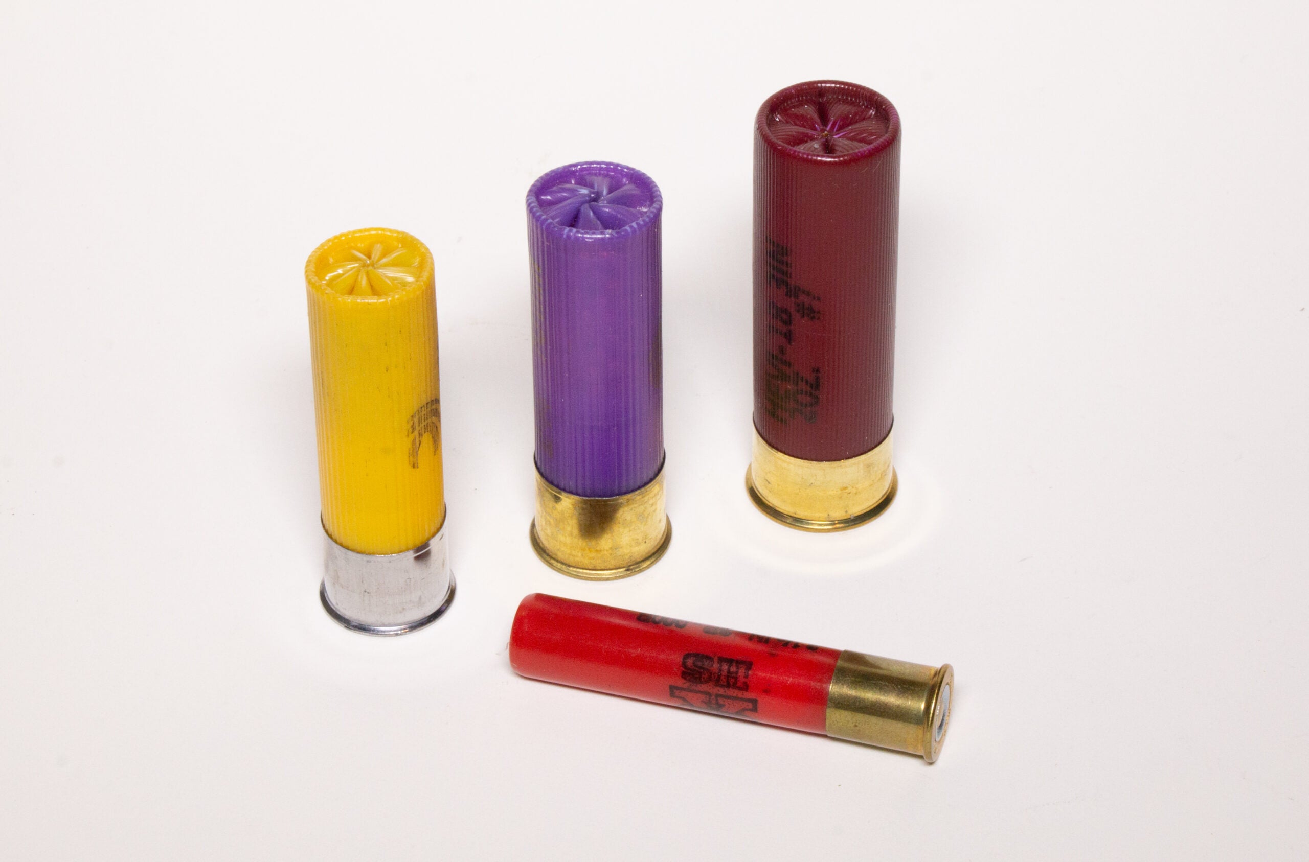 photo of different shotgun-shell gauges and one caliber