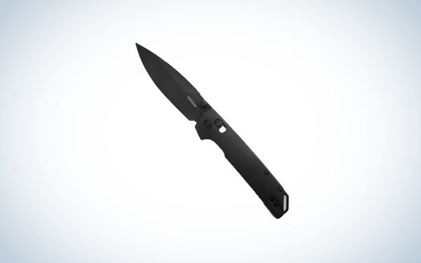 Kershaw Iridium knife