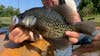 a fisherman holds a black crappie