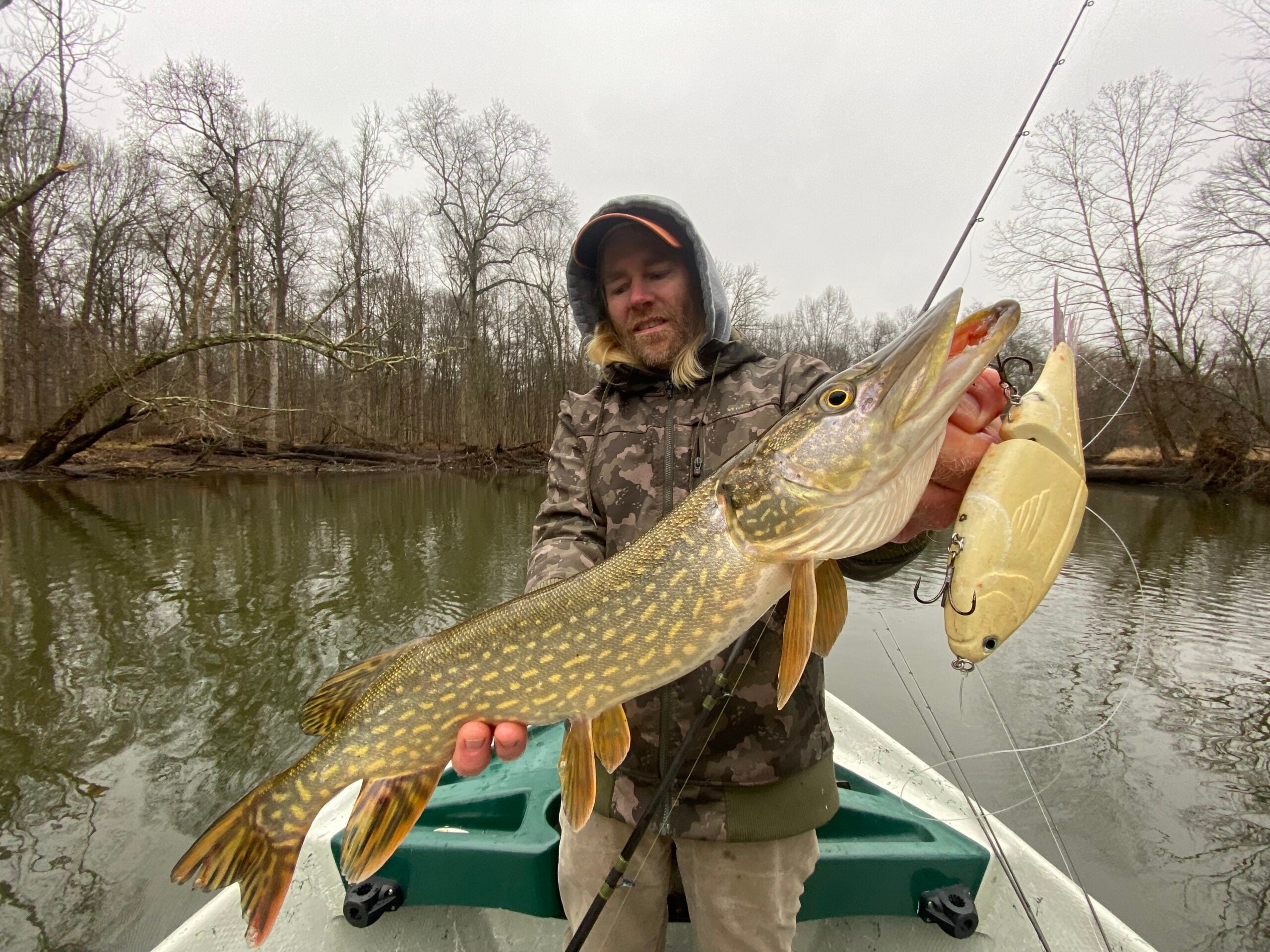 fisherman holds a northern pike.