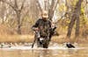 hunter walks through water holding two ducks and carrying a gun on his back while retriever swims beside him