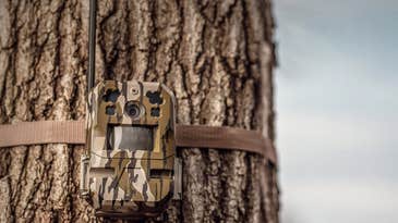 Last Minute Trail Camera Deals at October Prime Day 2023