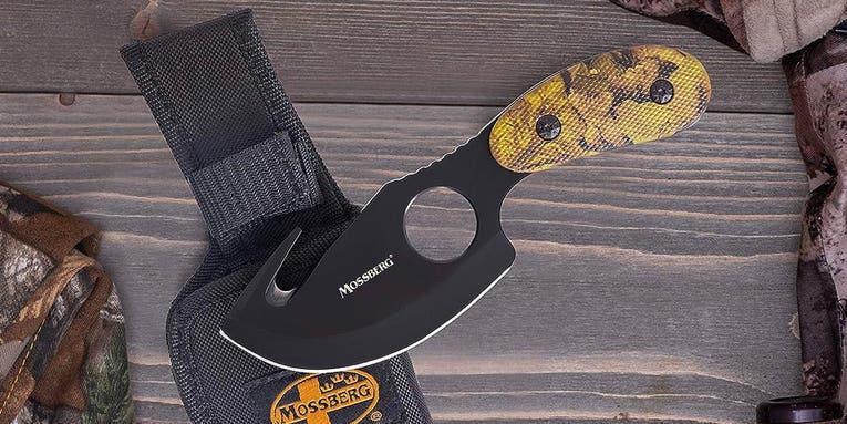 This Skinning Knife Makes Field Dressing Way Easier—And It’s Only $12 Right Now