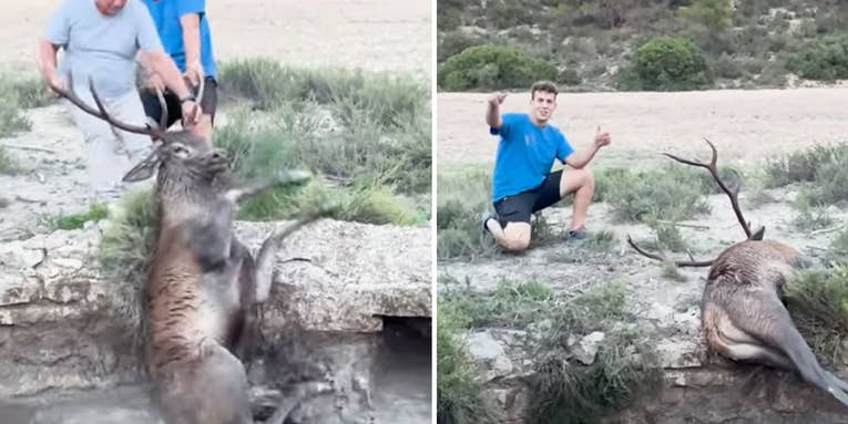 Watch Two Men Pull a Drowning Red Deer Out Of a Well in Mexico