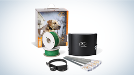 Best Invisible Dog Fences: SportDog Rechargeable In-Ground Fence