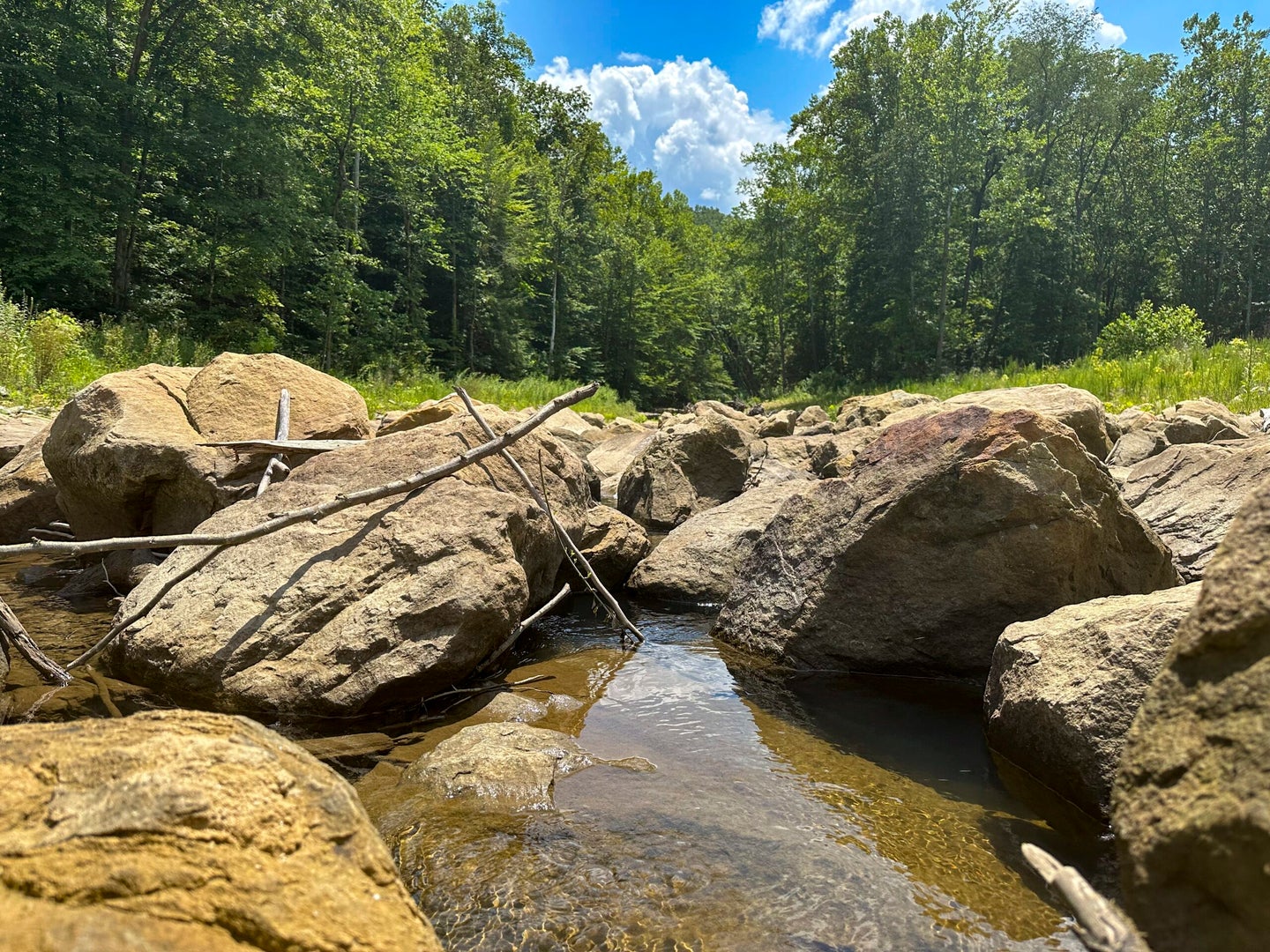 Large boulders resting in a stream with green trees and a blue sky in the background.