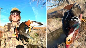 17-Year-Old Nevada Hunter Bags Stunning Exotic Duck
