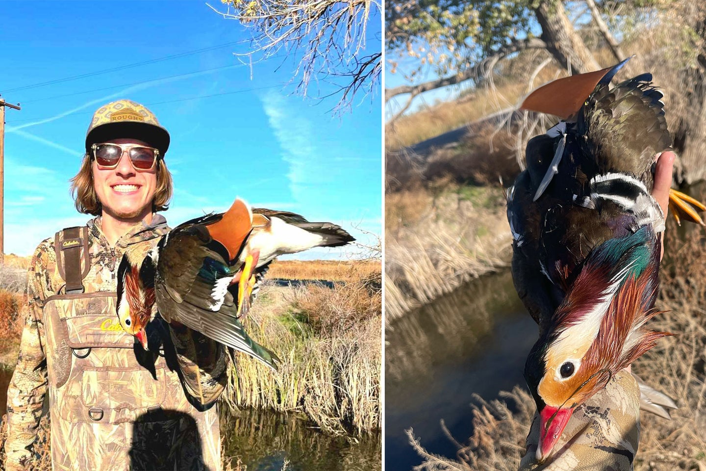A young duck hunter displays an exotic mandarin duck harvested during the Nevada duck season.
