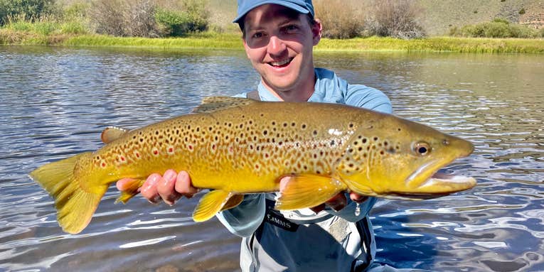 The Complete Fly Fisher Lodge: A Trout Anglers Paradise
