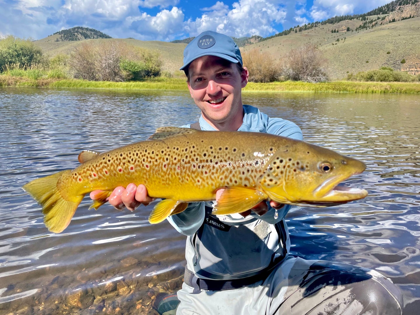 fisherman holding huge brown trout while kneeling in a river