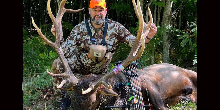 Michigan Bowhunter’s 300-Class Bull Elk Should Set a New State Record
