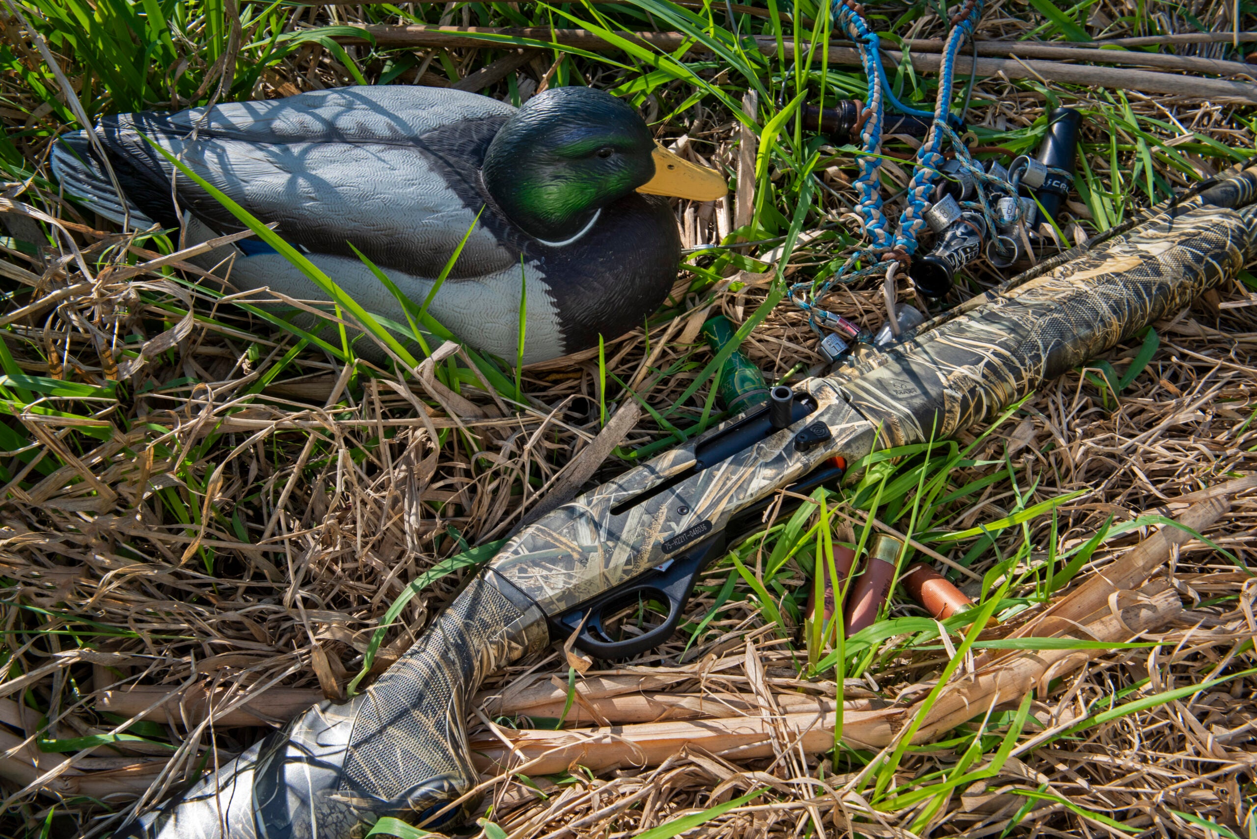 Close-up of new Stoeger M3000 lying among marsh grasses with duck decoy.