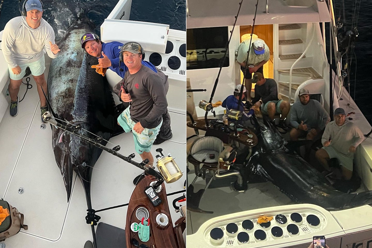 Angler Boats Massive Marlin Weighing More Than 1,000 Pounds